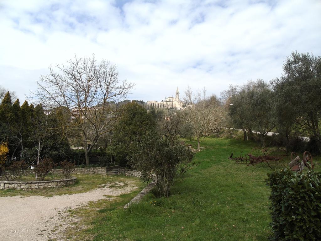 Agriturismo Poponi Todi Exterior photo